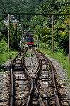 Dcim10383/DSC_7677