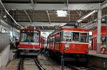 Dcim10384/DSC_7740