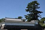 Dcim10385/DSC_7927