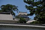 Dcim10385/DSC_7928