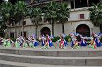 Dcim10410/DSC_0049