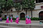 Dcim10411/DSC_0254