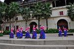 Dcim10414/DSC_0633