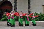 Dcim10416/DSC_0961