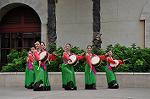 Dcim10416/DSC_0963