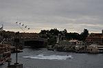 Dcim10423/DSC_1933