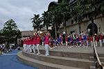 Dcim10430/DSC_2416