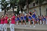 Dcim10430/DSC_2433