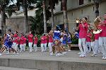 Dcim10430/DSC_2495