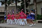 Dcim10431/DSC_2595