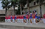 Dcim10431/DSC_2600