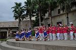 Dcim10431/DSC_2692
