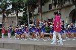Dcim10433/DSC_2906