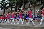 Dcim10433/DSC_2919