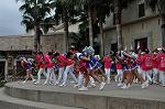 Dcim10434/DSC_3019
