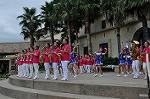 Dcim10435/DSC_3141