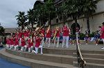 Dcim10435/DSC_3203