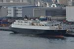 Dcim10443/DSC_3973