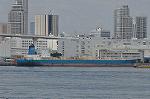 Dcim10446/DSC_4146