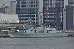 Dcim10446/DSC_4207