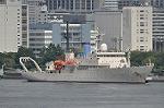 Dcim10447/DSC_4249