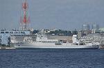 Dcim10451/DSC_4396