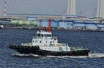 Dcim10453/DSC_4448