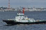 Dcim10453/DSC_4456