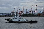 Dcim10453/DSC_4519