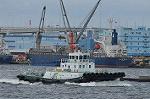 Dcim10453/DSC_4535
