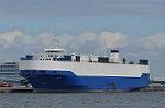 Dcim10453/DSC_4545