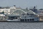 Dcim10455/DSC_4746