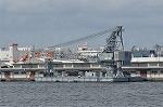 Dcim10456/DSC_4792