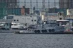 Dcim10456/DSC_4809