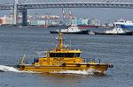 Dcim10457/DSC_4955