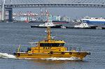 Dcim10457/DSC_4956