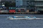 Dcim10457/DSC_5008