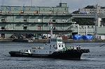 Dcim10458/DSC_5096
