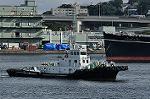Dcim10458/DSC_5097