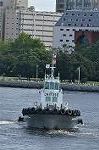 Dcim10458/DSC_5154