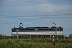 Dcim10459/DSC_5251