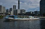 Dcim10459/DSC_5255