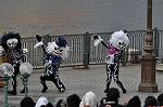 Dcim10477/DSC_7035