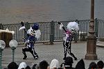 Dcim10477/DSC_7036