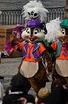 Dcim10478/DSC_7174