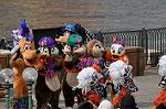 Dcim10478/DSC_7182