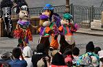 Dcim10479/DSC_7224