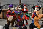 Dcim10479/DSC_7266