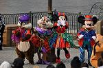 Dcim10479/DSC_7267