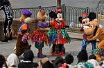 Dcim10479/DSC_7274